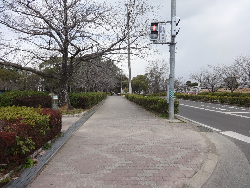 冬の曇り空の下、街路樹や生け垣が並ぶ舗装された広い歩道の入り口に、赤信号が点灯した「歩行者・自転車専用」の標識付き信号機が立っており、右側には車道と横断歩道の一部が見える静かな通りの風景を捉えた写真