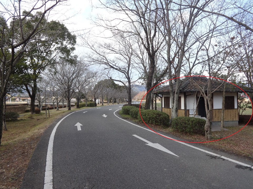薄曇りの空の下、緩やかな曲線を描く二車線の舗装路において、路面の白い矢印が示す進行方向の右側に、瓦屋根の和風なトイレ（赤い円で強調された施設）が冬枯れの木々に囲まれている写真