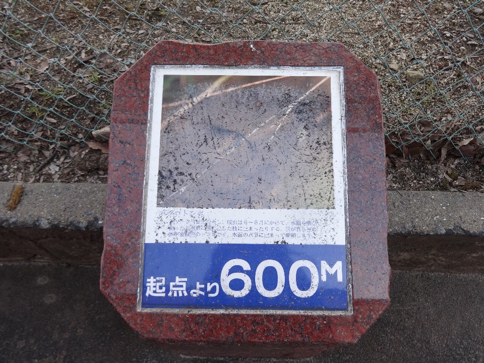 赤茶色の石枠に収められたプレートで、上部には「ハグロトンボ」の写真と解説文が記載され、下部の青い背景には白文字で「起点より600メートル」と大きく記された、遊歩道の路面脇に設置されている案内標識の写真