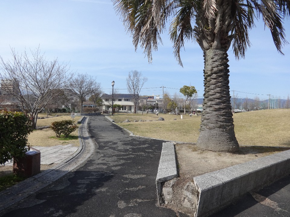 晴天の下、右側に大きなヤシの木が立つ公園内の舗装された遊歩道が奥へと続き、左側の芝生エリアの脇には「ジョギングコース 960メートル」と記された石造りの案内プレートが設置されている、開けた園内の風景を捉えた写真