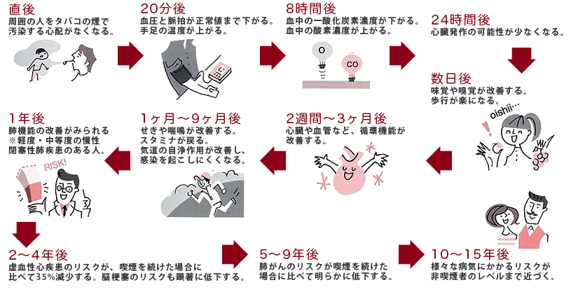 禁煙が時間経過とともに身体にどのような健康上の利益をもたらすかを示した図