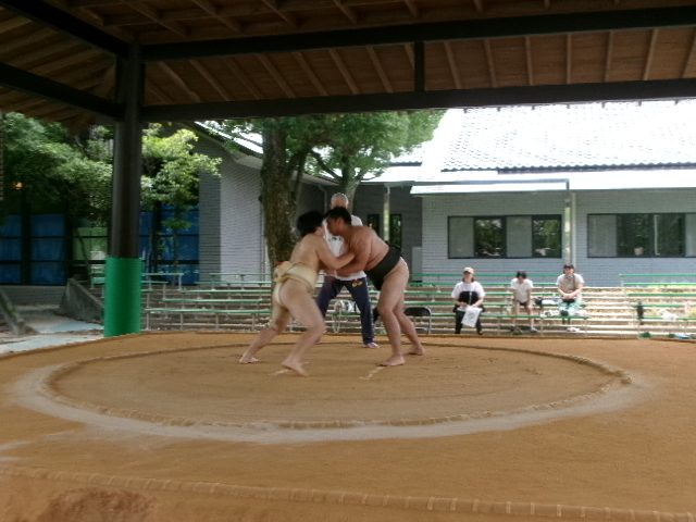 屋根付きの土俵上で、白まわしと黒まわしを締めた二人の力士が指導員の見守る中で激しく組み合い、後方の観覧席に座る人々がその真剣な稽古の様子を静かに見守っている、日本の伝統的な相撲の風景を写した写真
