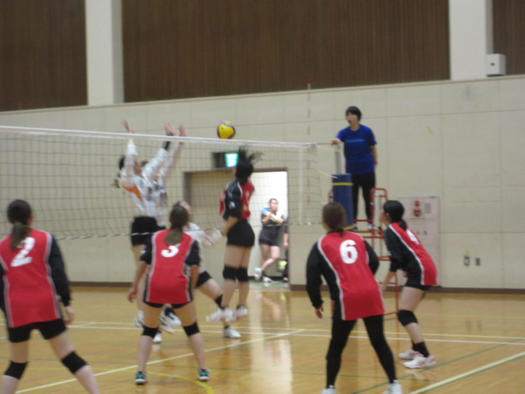 広々とした屋内の体育館で、背番号のついたユニフォームを着用した女子選手たちが、ネット越しに放たれたボールをブロックしようと高くジャンプし、白熱した試合を繰り広げているバレーボールの競技風景を捉えた写真