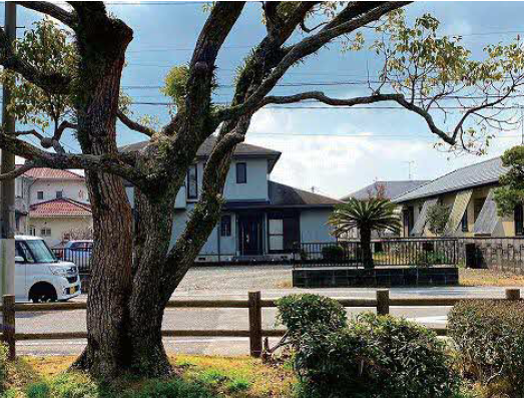 手前に大きく枝を広げた風格のある古木が配置され、その奥に木製の低い柵や現代的な一戸建て住宅が立ち並ぶ、住宅街の中にある静かな緑の景観と穏やかな生活圏の様子を晴天の下で捉えた、観頤荘跡（整備前）の写真