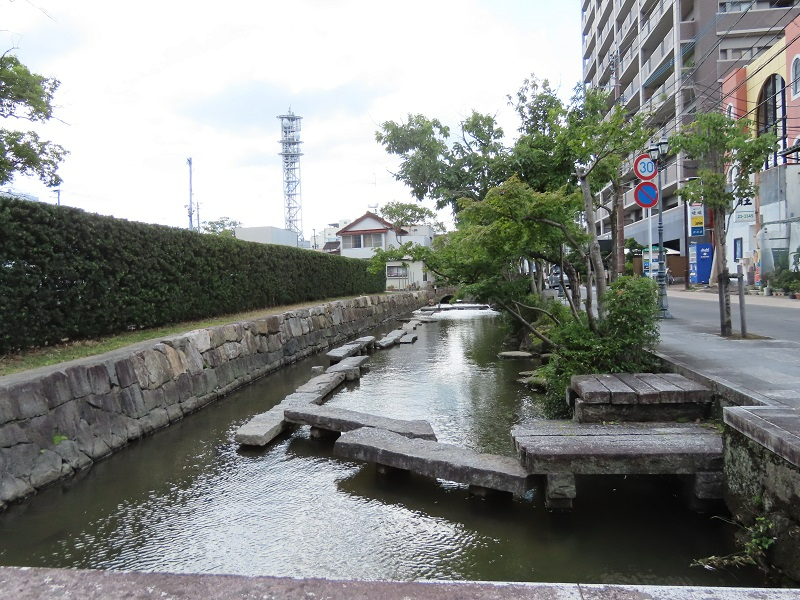 歴史的な石積み護岸に沿って穏やかに流れる水路の中に、平らな石を組み合わせた飛び石のような歩道が整備され、右側の街路樹が並ぶ車道と左側の高い生垣に挟まれた、情緒ある水辺の景観を捉えた松原川の写真