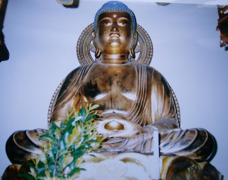 金色に輝く仏像が落ち着いた衣文をまとって端正に坐し前方の青々とした供物の葉とともに穏やかな荘厳さを湛える写真