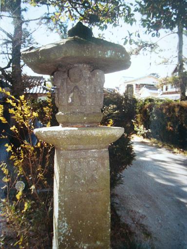 庭の小径脇で陽光を受けた苔むした石灯籠が重厚な笠と柱の風化した質感を示し周囲の植栽とともに静寂な佇まいを見せる写真