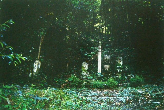 薄暗い森の木立を背景に、地面から生える草木に埋もれるようにして並ぶ数体の古い石仏や石碑と、その中央に一本の白い卒塔婆が立てられている、静寂に包まれた歴史を感じさせる、華蔵庵跡(けぞうあんあと)の写真