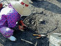 屋外の発掘現場で、麦わら帽子を被り紫色の作業服を着た調査員が、黒褐色の土が露出した地面に屈み込み、手元の移植ごてなどの道具を用いて慎重に土を掘り下げながら、土中に埋もれた遺構を探している写真。