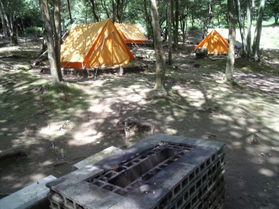 木漏れ日の差す林間に複数のオレンジ色テントとかまどが点在し自然に囲まれた静かなキャンプ場の様子が広がる写真