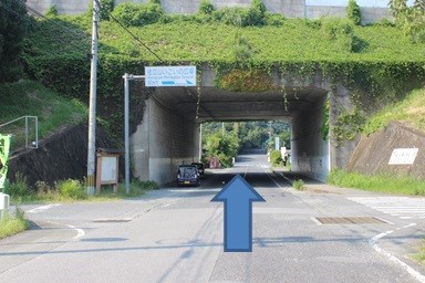 手前に案内表示の看板が設置され、緑に覆われたコンクリート製の高架下トンネルの入口が正面にあり、その下をくぐって奥へまっすぐ続く道路の進行方向を青い矢印で示している案内の写真