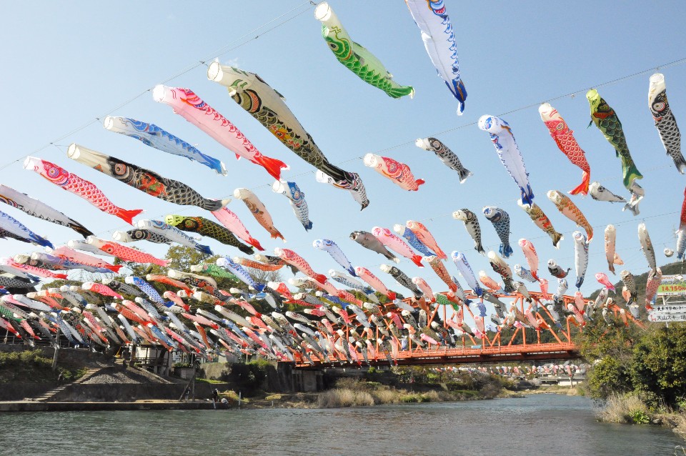 晴れ渡る青空を背景に、川の両岸に渡された無数のワイヤーから色とりどりの鯉のぼりが吊るされ、下を流れる川の上を群れをなして泳いでいるかのような川上峡こいのぼりの写真