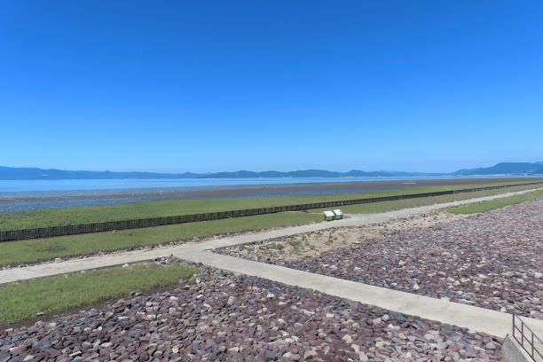 晴れ渡る青空の下、左側に穏やかな海辺の干潟、中央にシチメンソウの広大な湿原が広がり、それらを貫くようにコンクリートの遊歩道が地平線の先まで真っ直ぐに伸びる、令和7年7月24日時点の写真