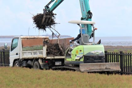 海辺の草地で作業員が乗った小型の緑色のショベルカーが、フォーク状のアタッチメントで集めた枯れ枝やゴミを隣に停車した白いトラックの荷台へ積み込んで清掃を行っている令和7年8月28日時点の写真