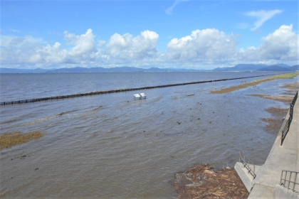 青い空と白い雲の下、満潮により海面が上昇して遊歩道や案内板が水没し、遠くの防波堤まで一面が海水に覆われた干潟の様子を、右側のコンクリート堤防から俯瞰で捉えた、令和7年9月11日時点の写真