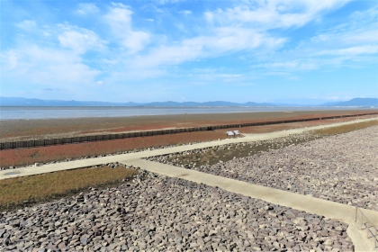 抜けるような青空の下、遠くの山々を望む海岸沿いの広大な敷地に赤茶色のシチメンソウが帯状に群生している、令和7年10月20日時点の写真