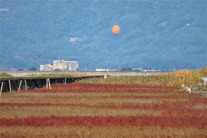 青い山並みを背景に、手前には赤く色づいたシチメンソウの群生地が広がり、遠くの空にオレンジ色の熱気球が一つ浮かんでいる秋の風景を捉えた令和7年10月30日時点の写真